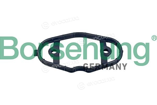 Borsehung B12973