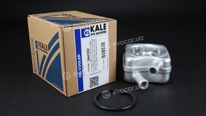 Kale 344350