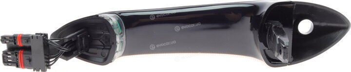 Solgy 305068