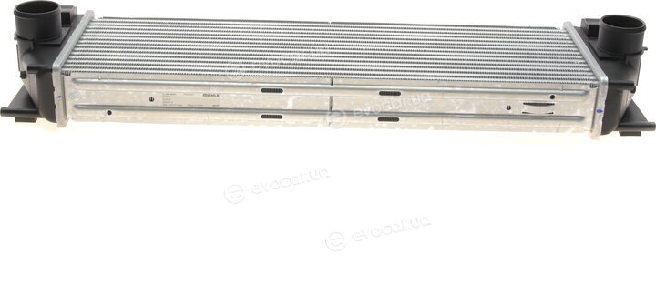 Mahle CI 369 000S