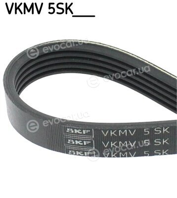 SKF VKMV 5SK595