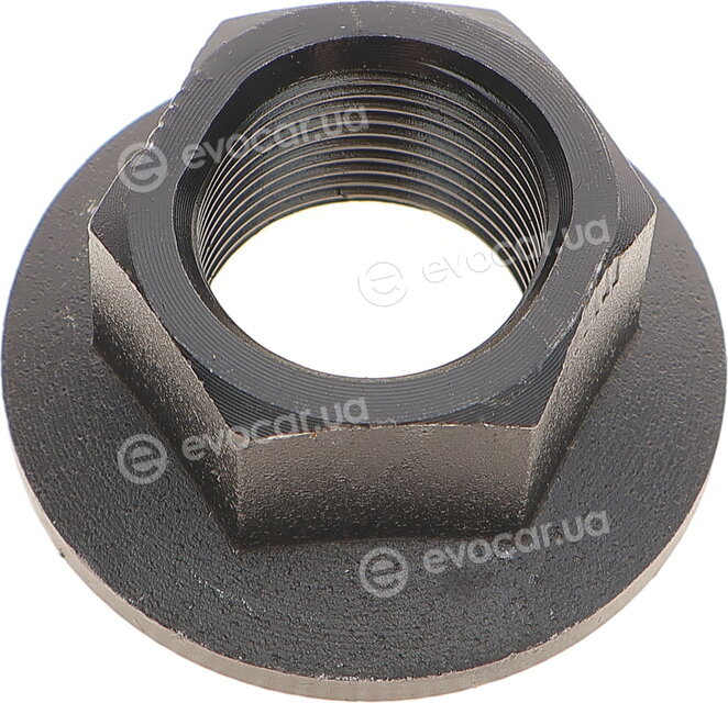 Solgy 216261