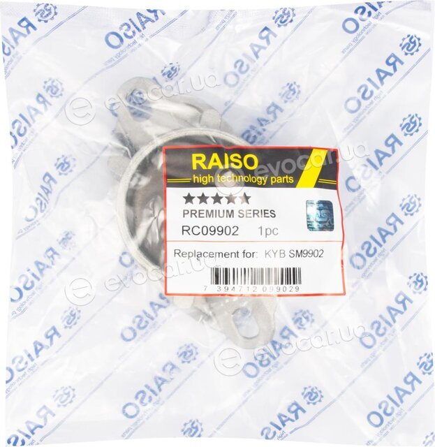 Raiso RC09902
