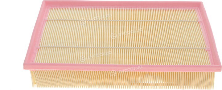 Solgy 103069