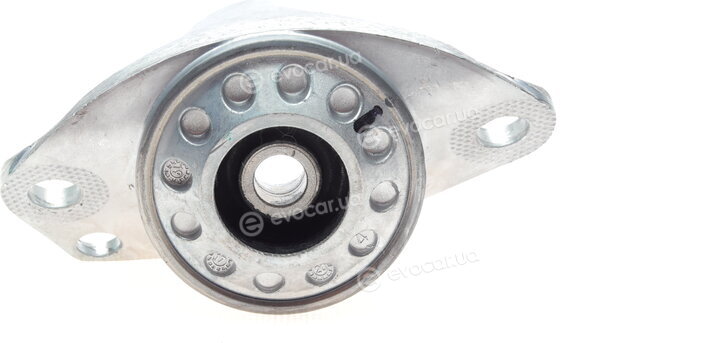Borsehung B12237