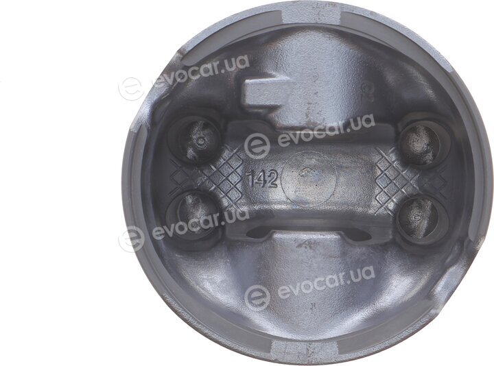 Mahle 001 PI 00107 002