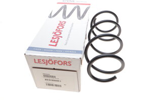 Lesjofors 4062041