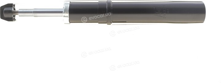 Solgy 211339