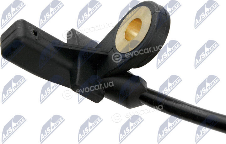 NTY HCA-VV-013