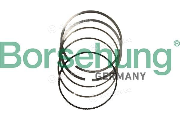 Borsehung B10375