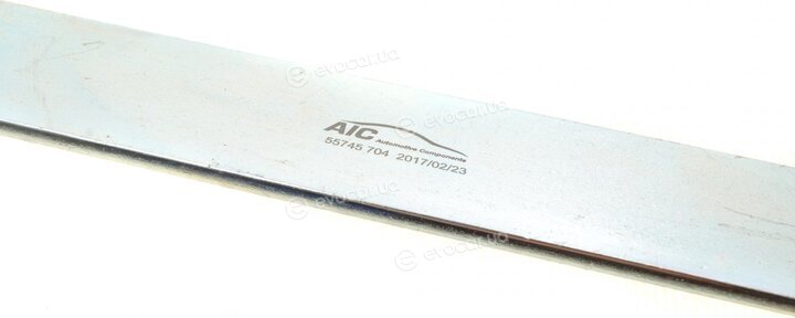 AIC 55745