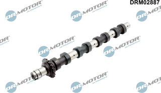 Dr. Motor DRM02887