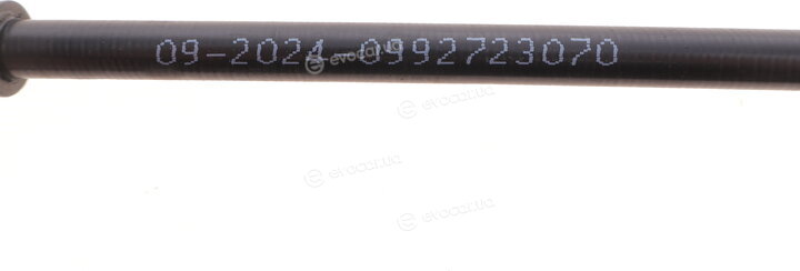 Solgy 219027