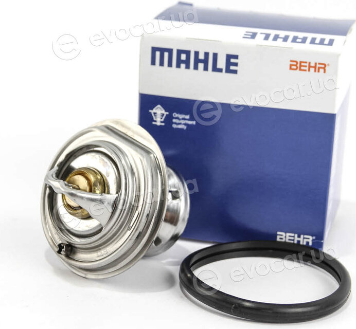 Mahle TX 29 85D