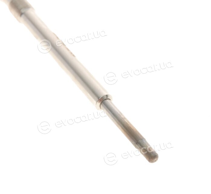 Solgy 116014