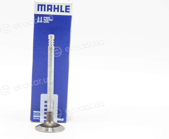 Mahle 029 VE 31162 000