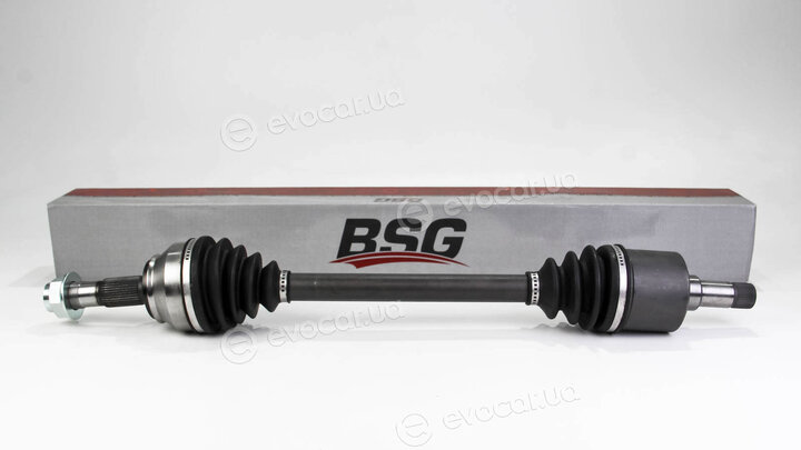 BSG BSG 70-350-011