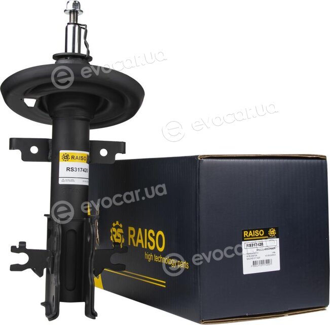 Raiso RS317420