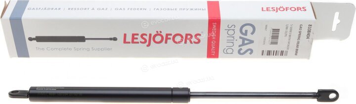 Lesjofors 8108404