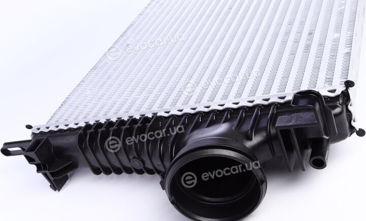 Mahle CI 191 000P