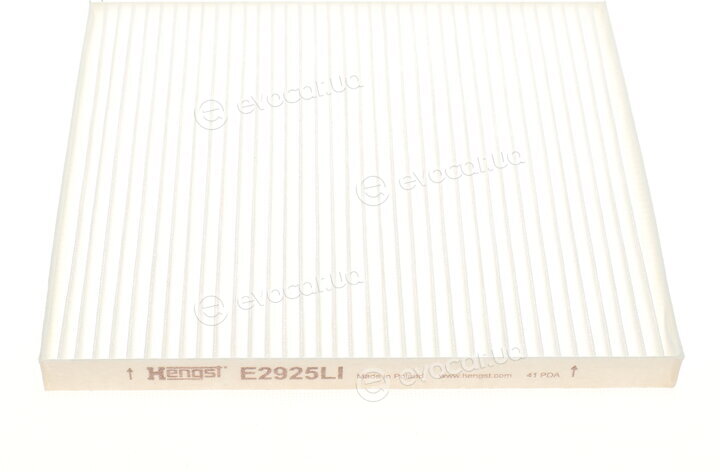 Hengst E2925LI