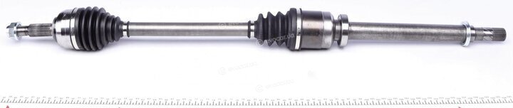 GSP 250541