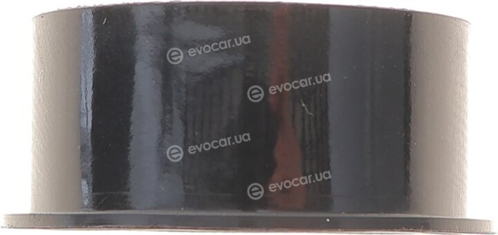 Bosch 1 987 946 769