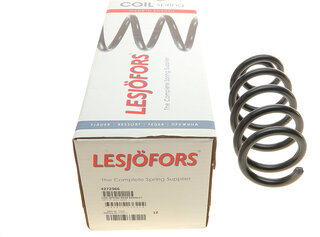 Lesjofors 4272966