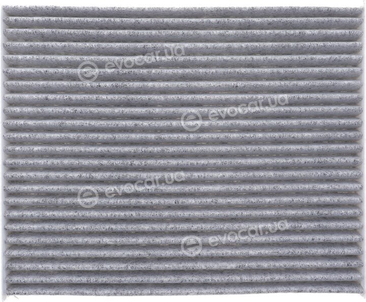 Solgy 104087