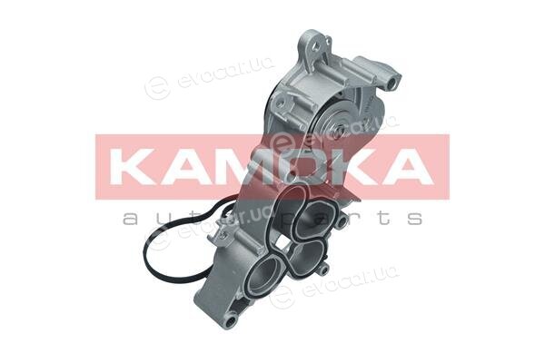 Kamoka T0286