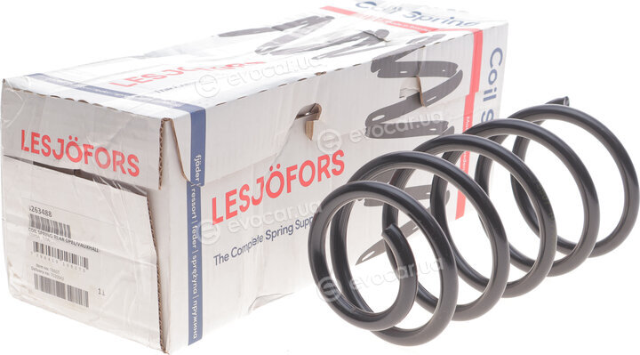 Lesjofors 4263488