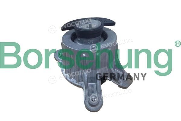 Borsehung B12987