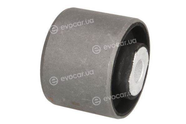 Reinhoch RH20-0004