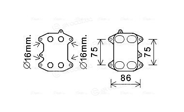 Ava Quality VN3388