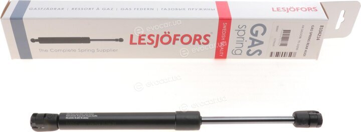 Lesjofors 8104214