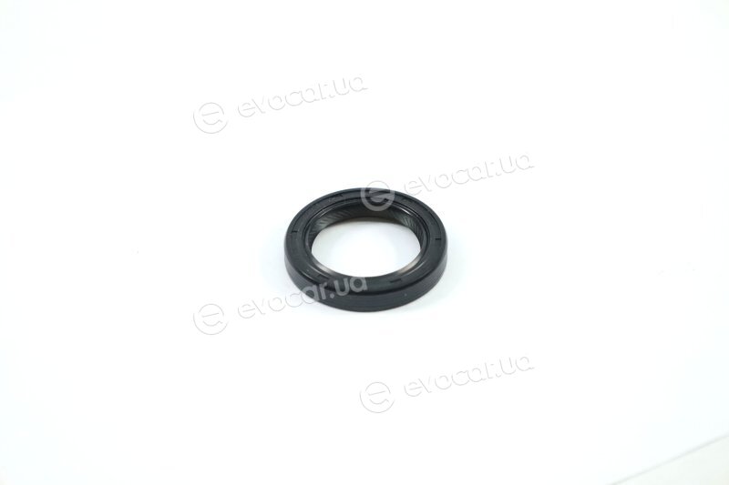Elring 440.720