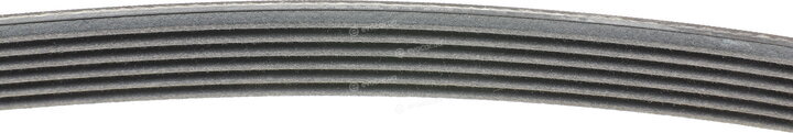 Continental 6PK1564