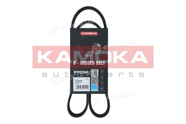Kamoka 7016029