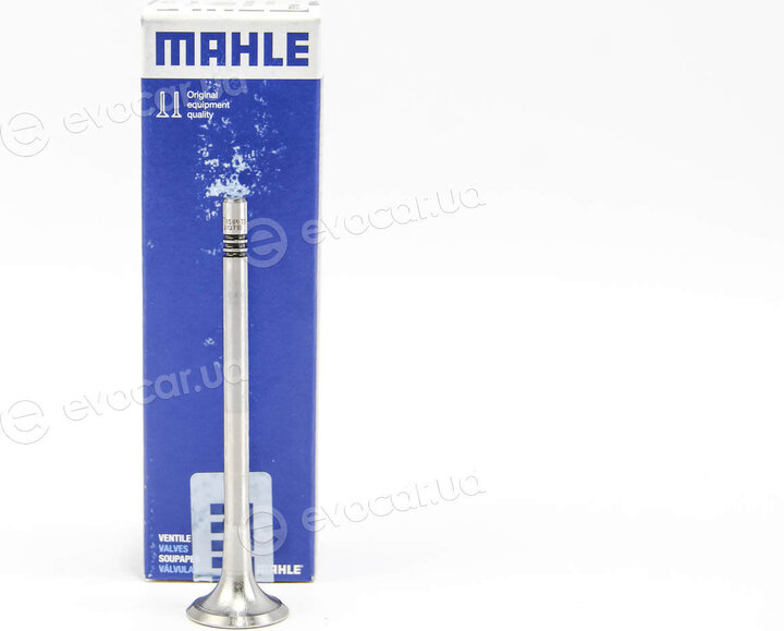 Mahle 029 VA 31971 000