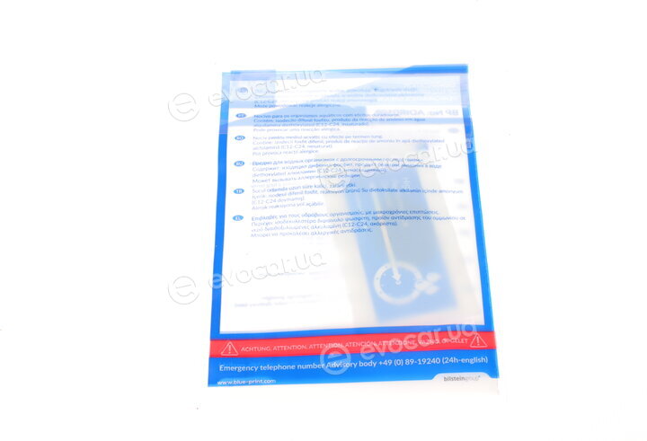 Blue Print ADF123031