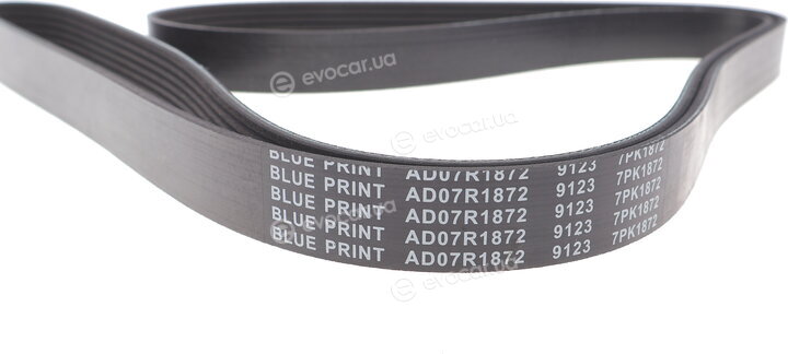 Blue Print AD07R1872