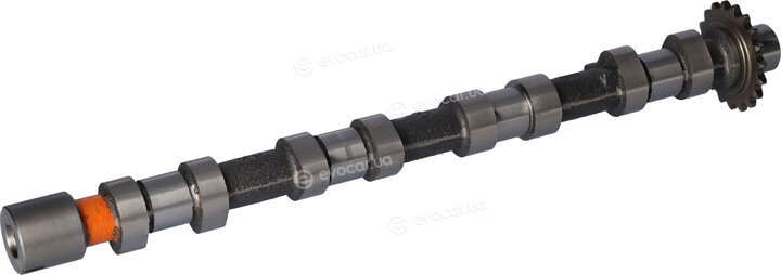 Blue Print ADBP610138