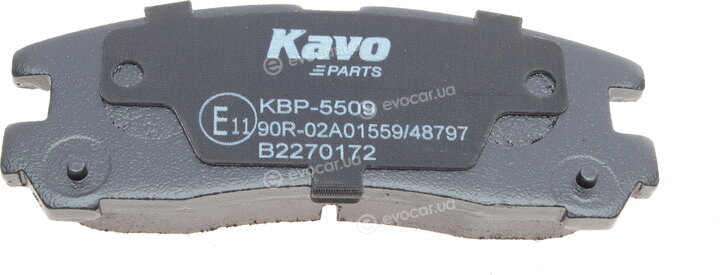 Kavo KBP-5509