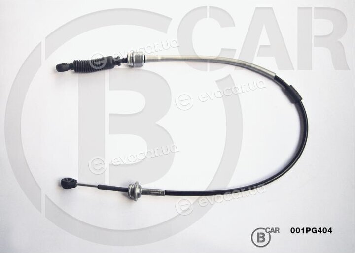 BCAR 001PG404