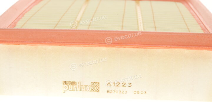 Purflux A1223
