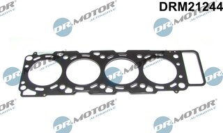 Dr. Motor DRM21244