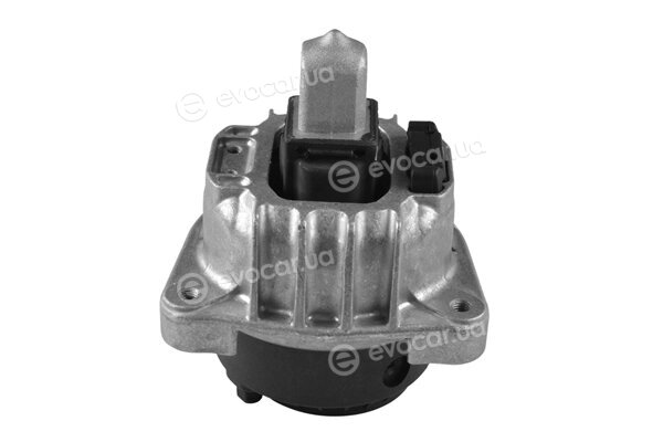 Tedgum TED60977