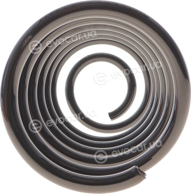 Eibach R10131