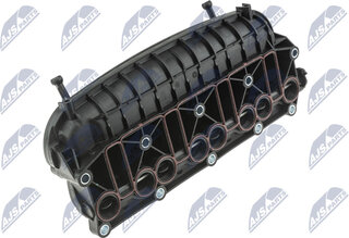 NTY BKS-VW-012