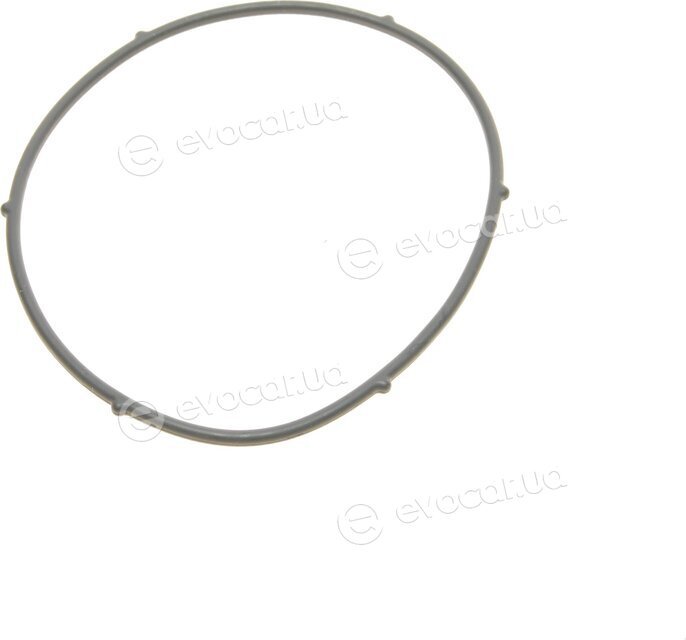 Elring 550.310